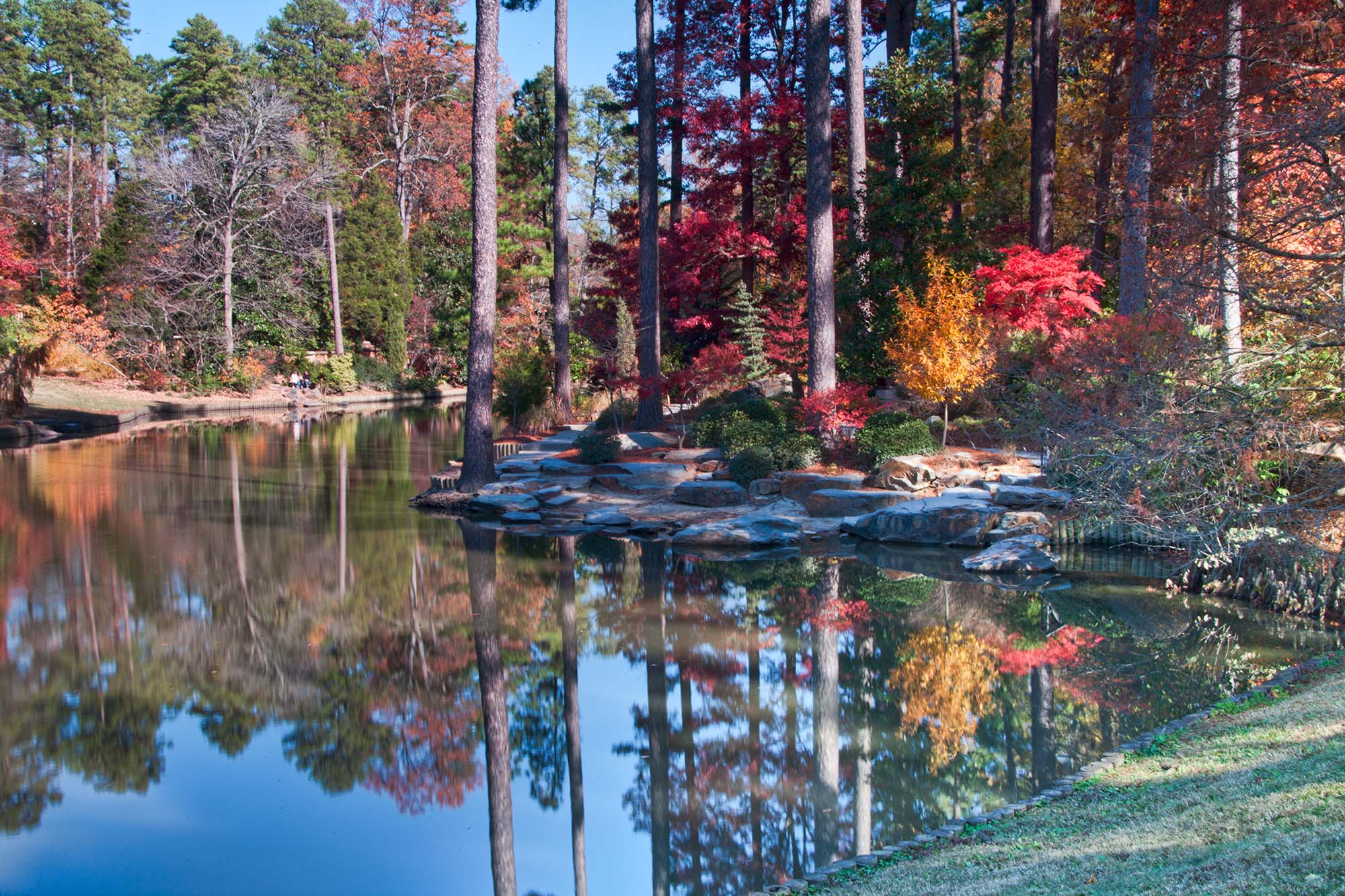 A fall view of the Asiatic Arboretum pond. Photo by Rick Fisher.