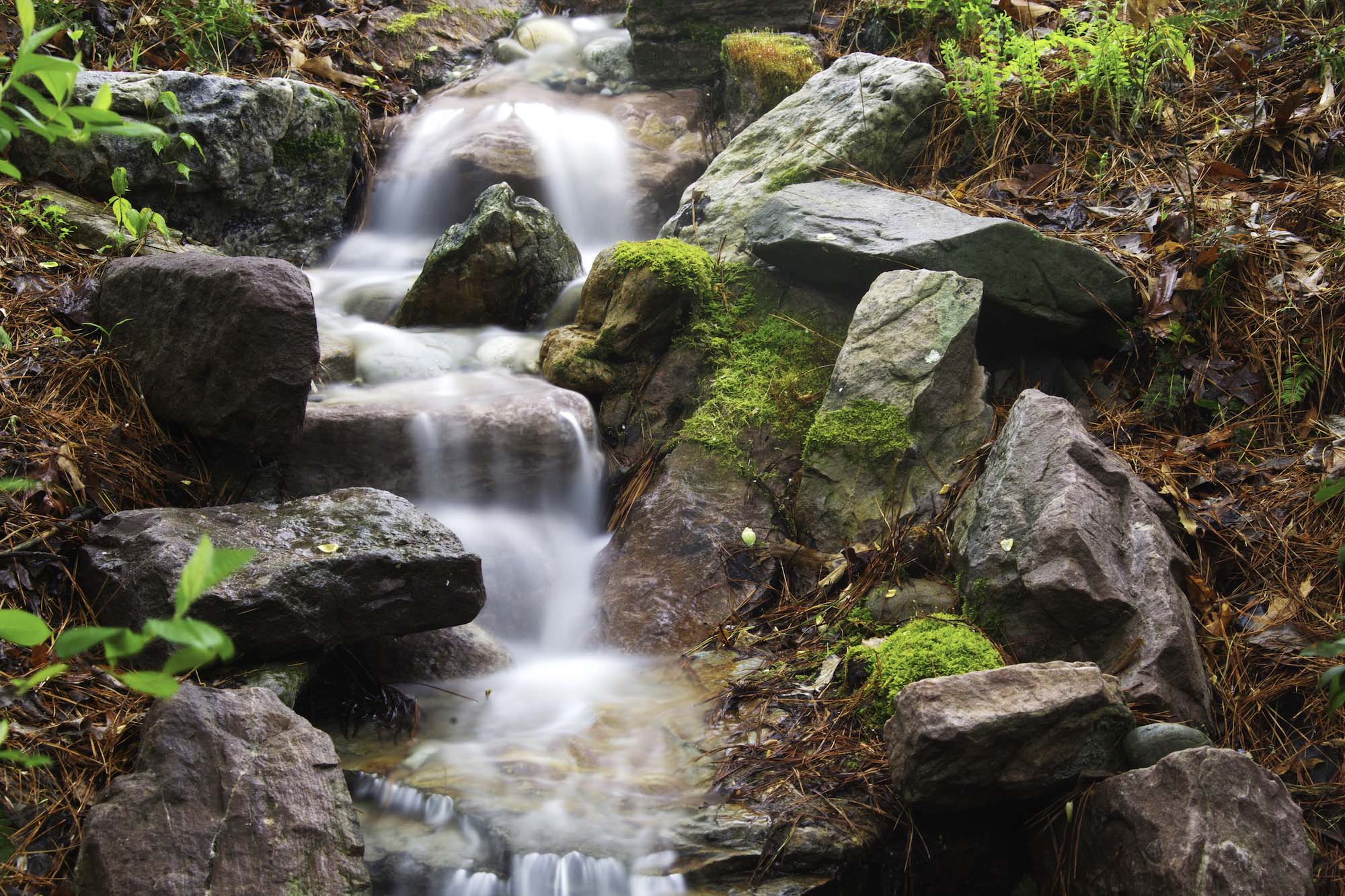 A waterfall in Pine Clouds Mountain Stream. Photo by Rick Fisher.