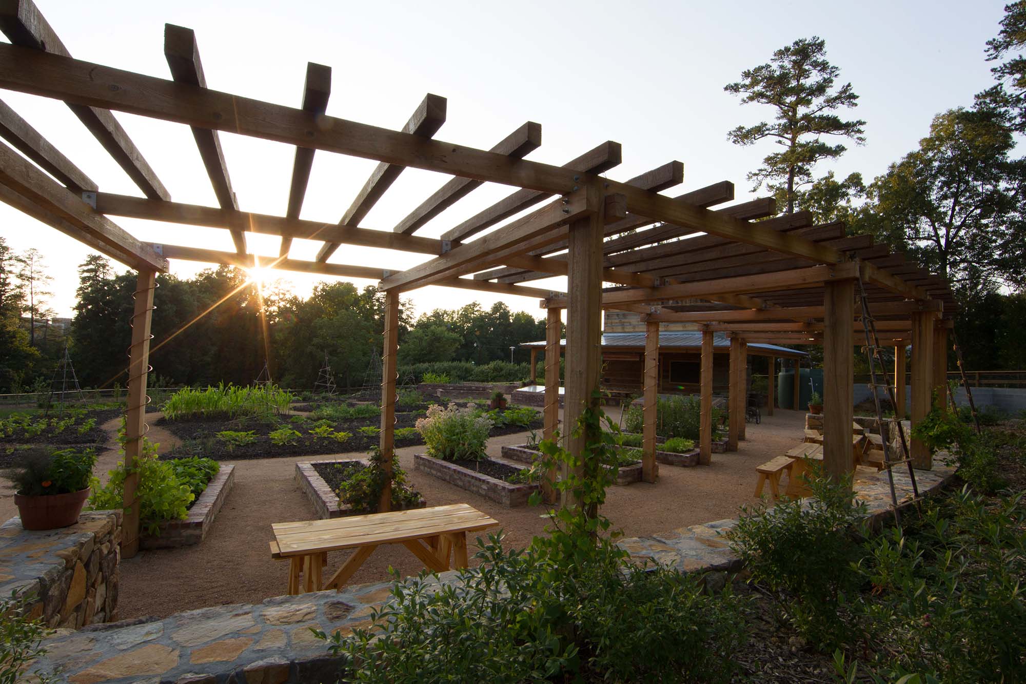 The Charlotte Brody Discovery Garden, a sustainable, organic food garden. Photo by Rick Fisher.