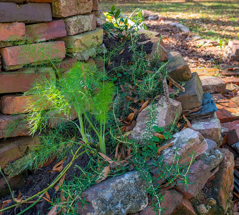 Tight closeup of bricks and herbs