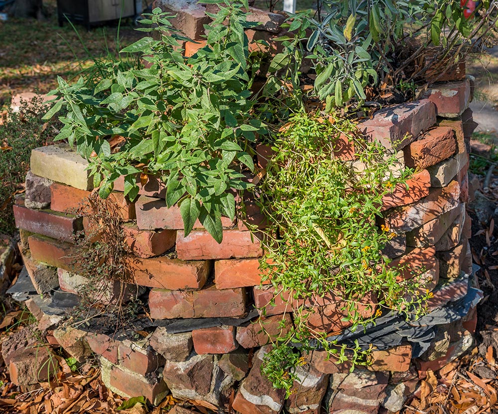Red brick herb spiral full of plants