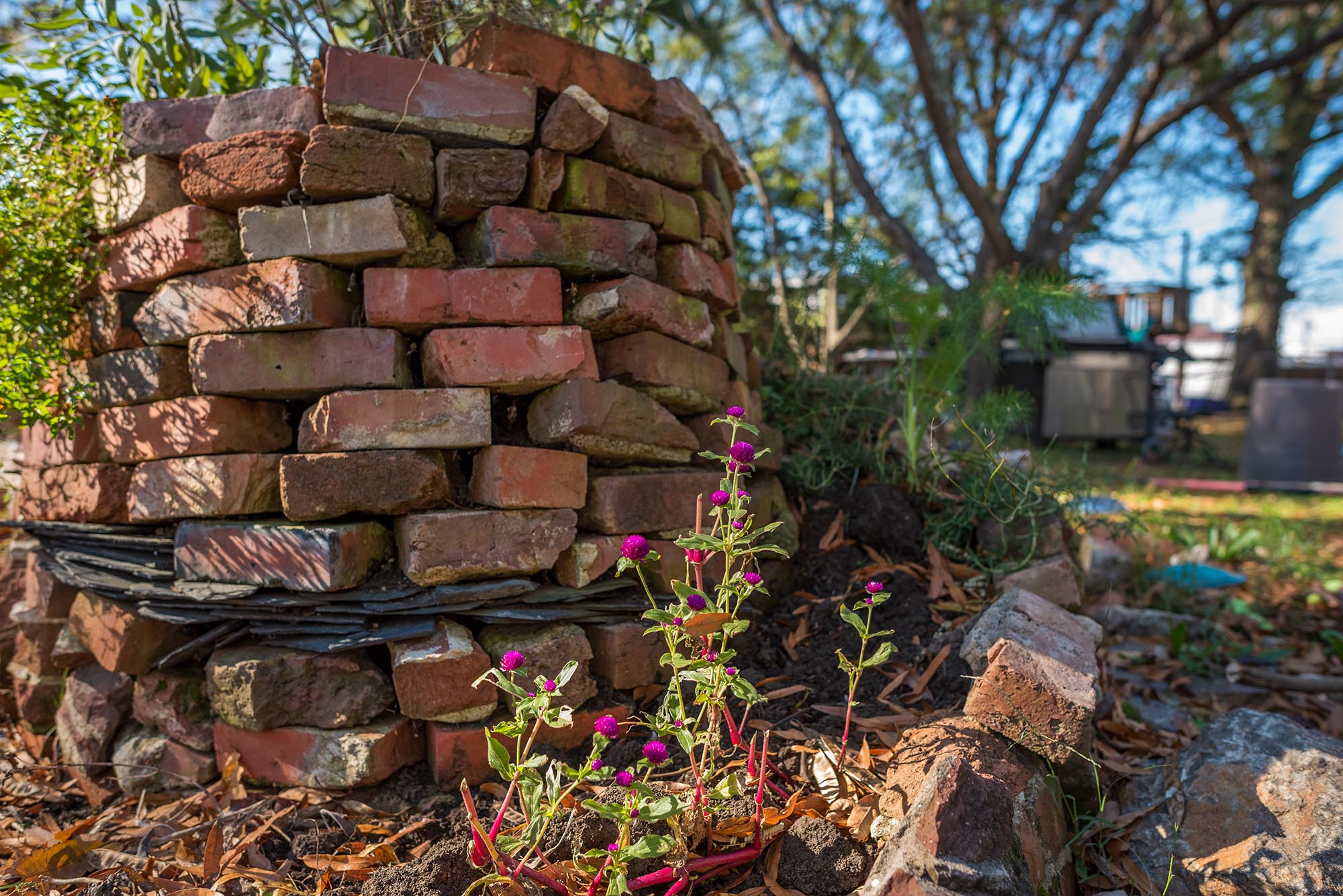 View from the ground of bricks stacked in an herb spiral, with purple flowers in the foreground