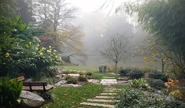 Arboretum in mist