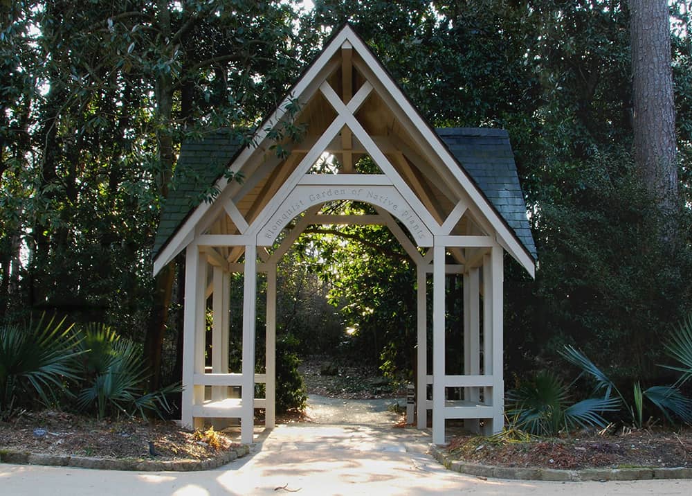 A wooden gatehouse with a thick wall of trees in the background and a small bit of light emerging through the center, and palms in the foreground.