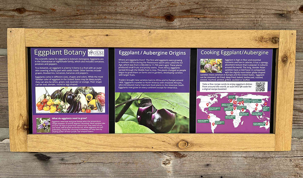 Eggplant Signs