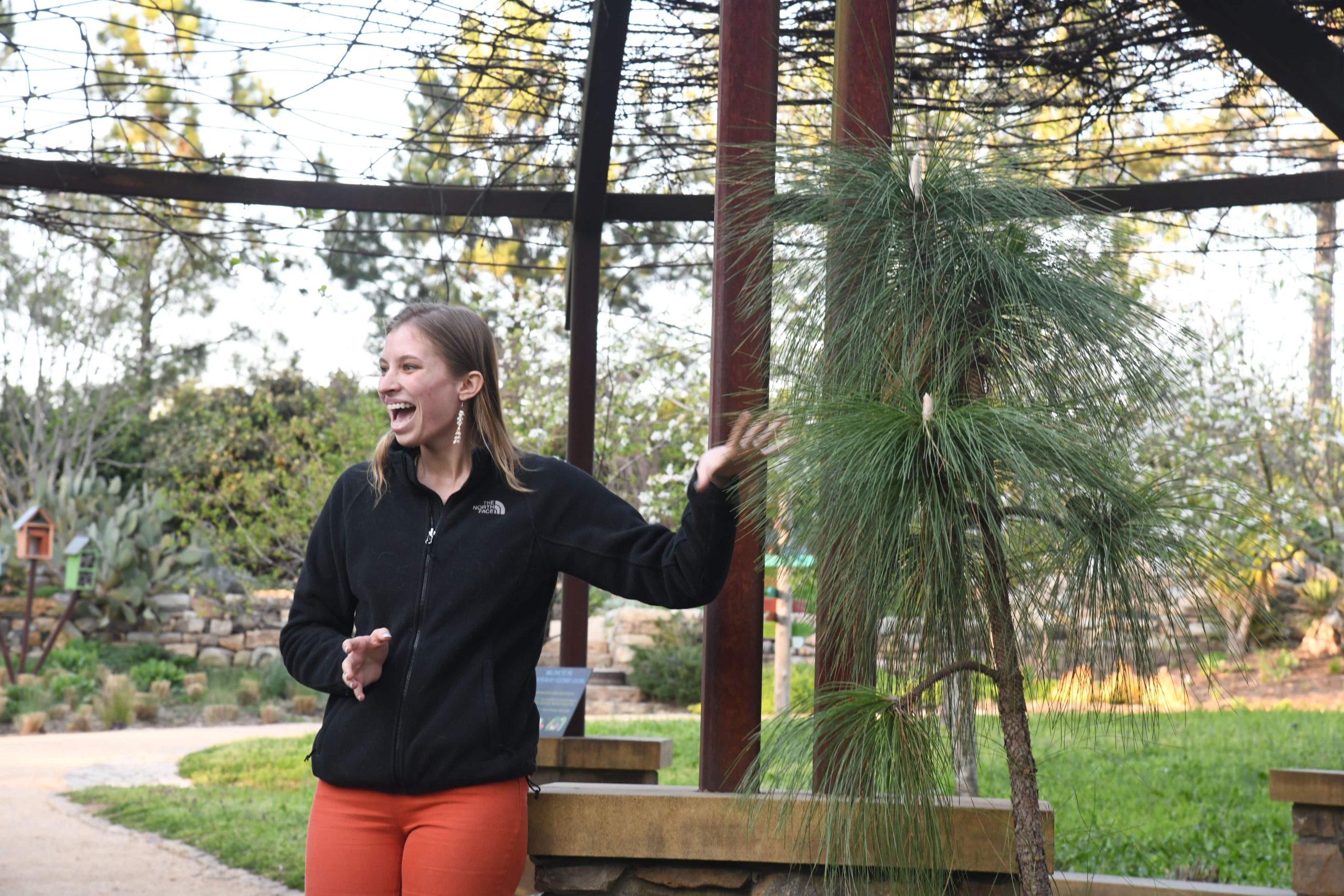 Tigerlily discusses longleaf pine (Pinus palustris) at the entry to the Charlotte Brody Discovery Garden.